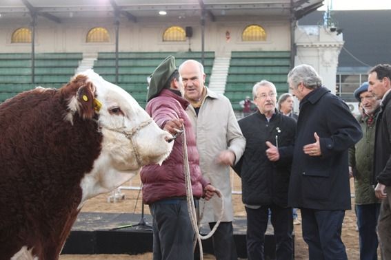 El primer animal de Expo Rural Palermo 2024 fue un Hereford: “Místico”