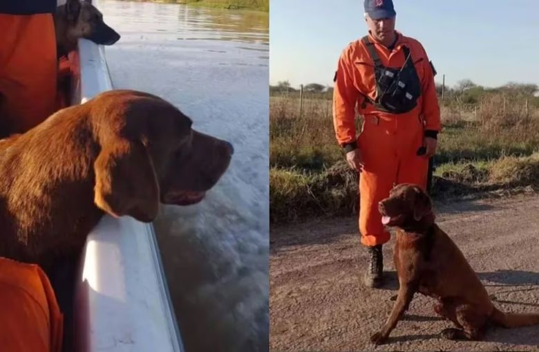 Murió Nerón, uno de los perros que encontró rastros de Loan Peña en el auto de Caillava y Pérez