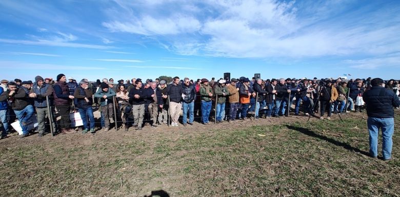 Una empresa mapeó 40 mil hectáreas y logró una producción agrícola ganadera integrada