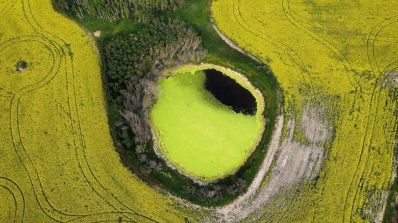 Amarillo aéreo