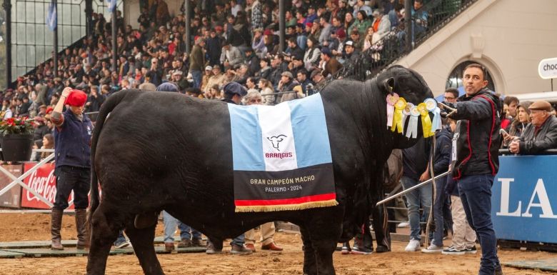 De Villa Valeria salió el gran campeón Brangus de Palermo