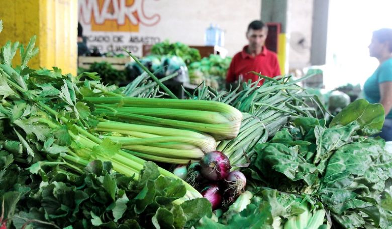 Las condiciones ambientales han afectado a la producción del cinturón verde 