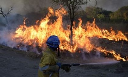 Evacuaron familias por incendio de pastizales en barrio Las Quintas