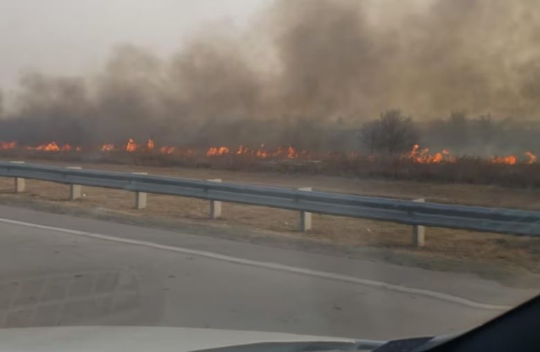 En medio de un calor intenso y volvieron los incendios a Córdoba: hay un foco en la Circunvalación