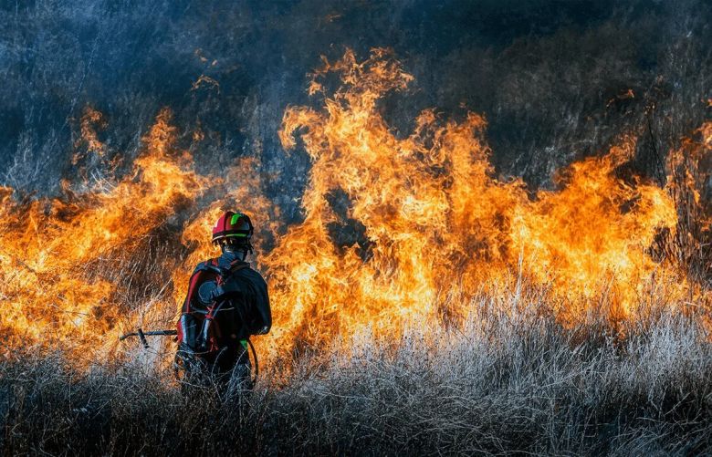 Época de incendios: recomiendan una serie de medidas para evitar daños mayores