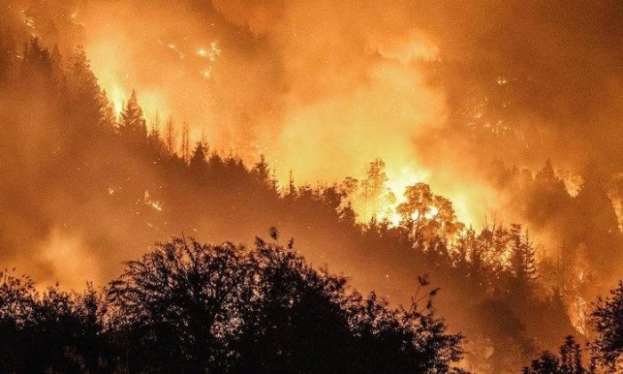 Un documental sobre un incendio en la Patagonia se exhibe en Merlo, San Luis