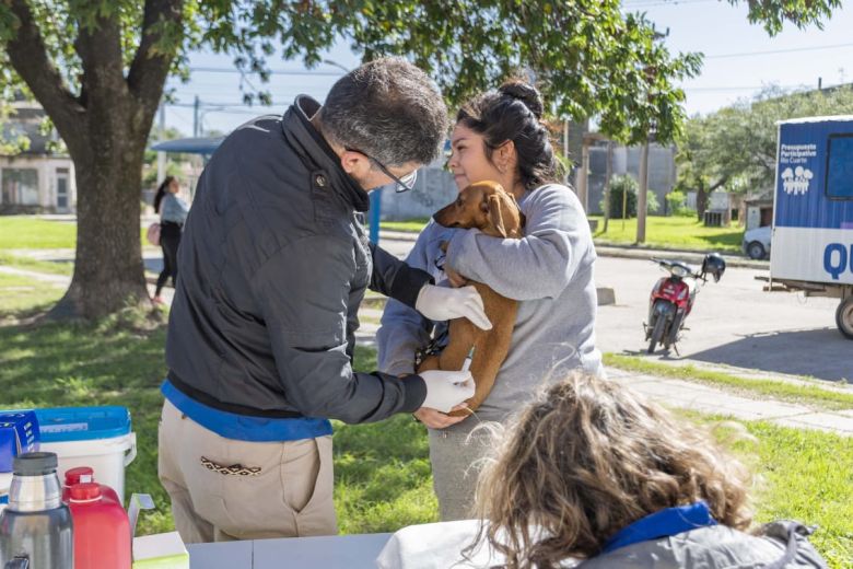 El Municipio colocó más de 5000 vacunas antirrábicas  y esterilizó a  3800 animales de compañía en lo que va del año