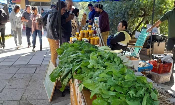 Fericambio dirá presente nuevamente en la gran muestra