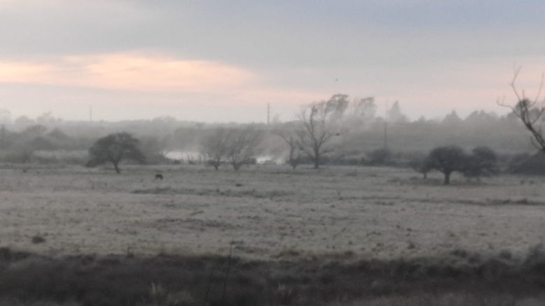 Río Cuarto amaneció con una helada y continúa el frío  