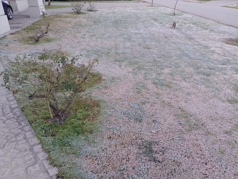 Río Cuarto amaneció con una helada y continúa el frío  