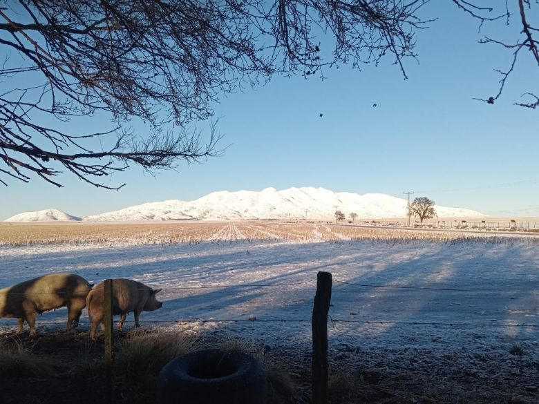 La nieve transformó las Sierras en un paisaje invernal único