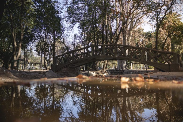 Rescataron 20 gansos de Banda Norte y los trasladaron al Parque Ecológico para su preservación 