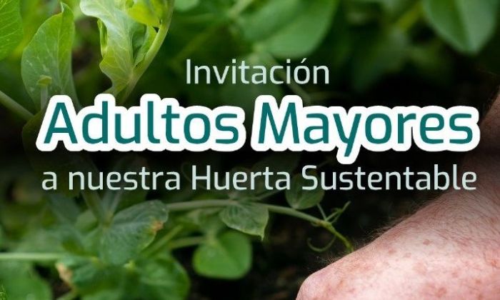 Bio 4 extiende el programa de huerta sustentable a los adultos mayores