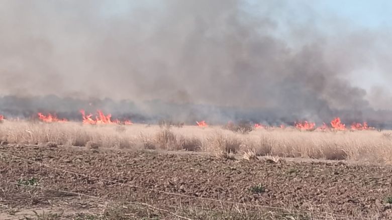 Bomberos de Río Cuarto trabajaron en un frente de fuego en Tres Acequias