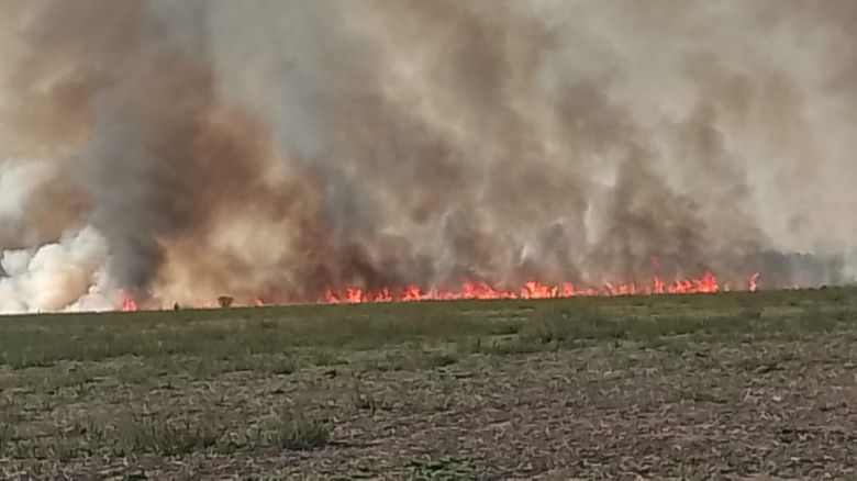 Bomberos de Río Cuarto trabajaron en un frente de fuego en Tres Acequias