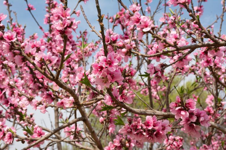 El invierno se despide con altas temperaturas y la primavera llega con fuertes vientos