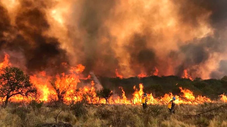 Propuesta de  penas más severas  por causar incendios