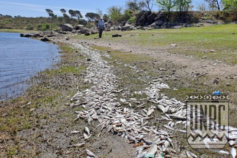 Investigadores de la Universidad de Río Cuarto determinaron la causa de la muerte de peces en el Embalse del río Tercero