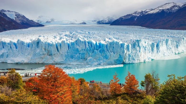 Paraíso helado 