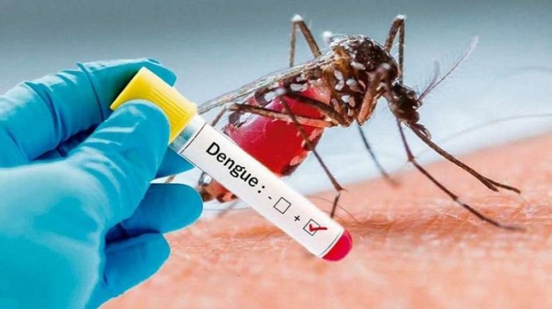 Se detectaron nuevos casos de dengue en la Provincia