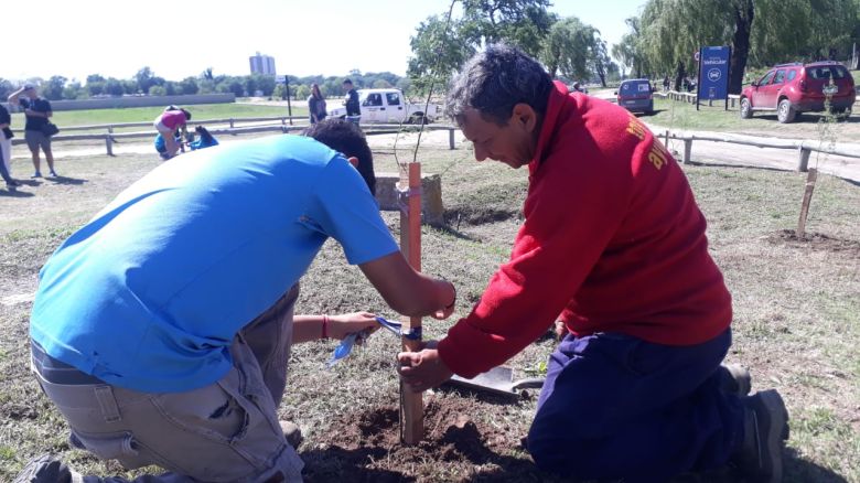 Plantan cien especies nativas en la costanera sur del Río Cuarto