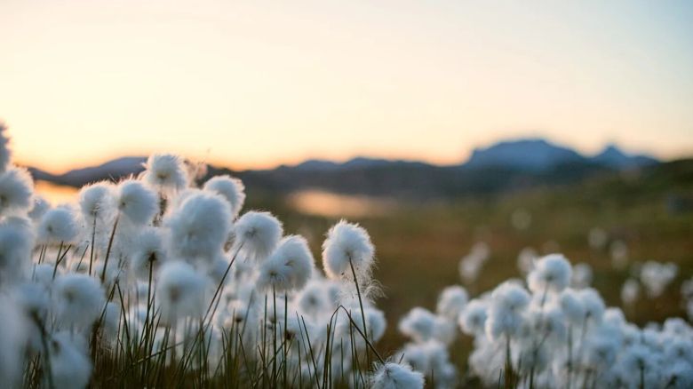 Campo de nubes