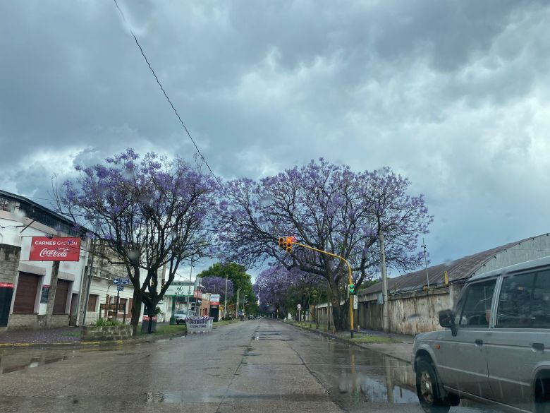 Lluvias y tormentas intensas para este martes 