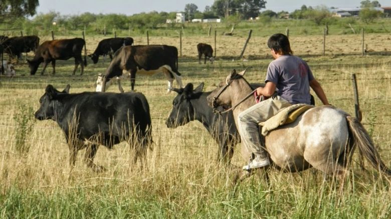 Aumento de las prestaciones por desempleo de Renatre